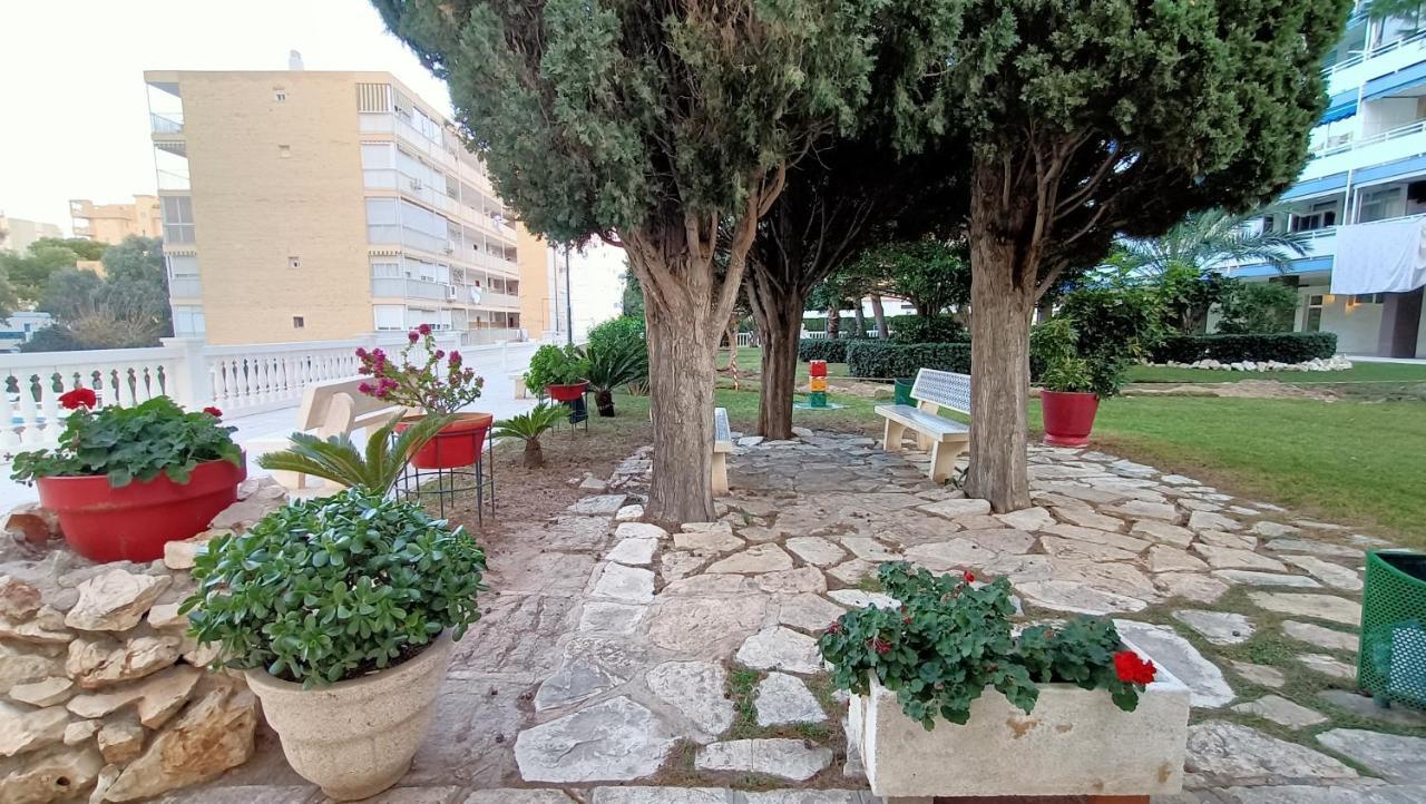 Apartamento Antonio De Alacant Aaa Leilighet Alicante Eksteriør bilde